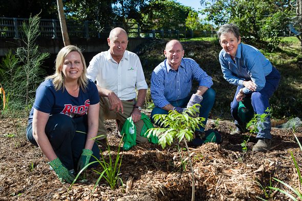 toyota greening australia #4