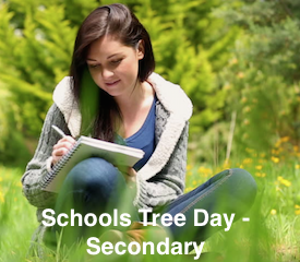 Schools Tree Day lesson plans Secondary Unit