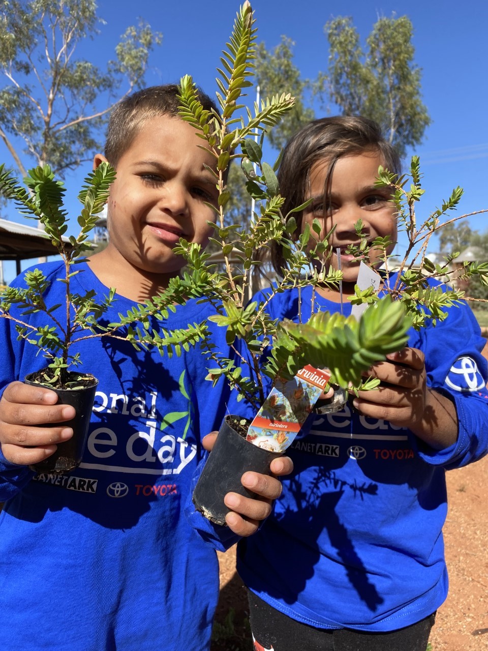 The Seedling Bank - National Tree Day